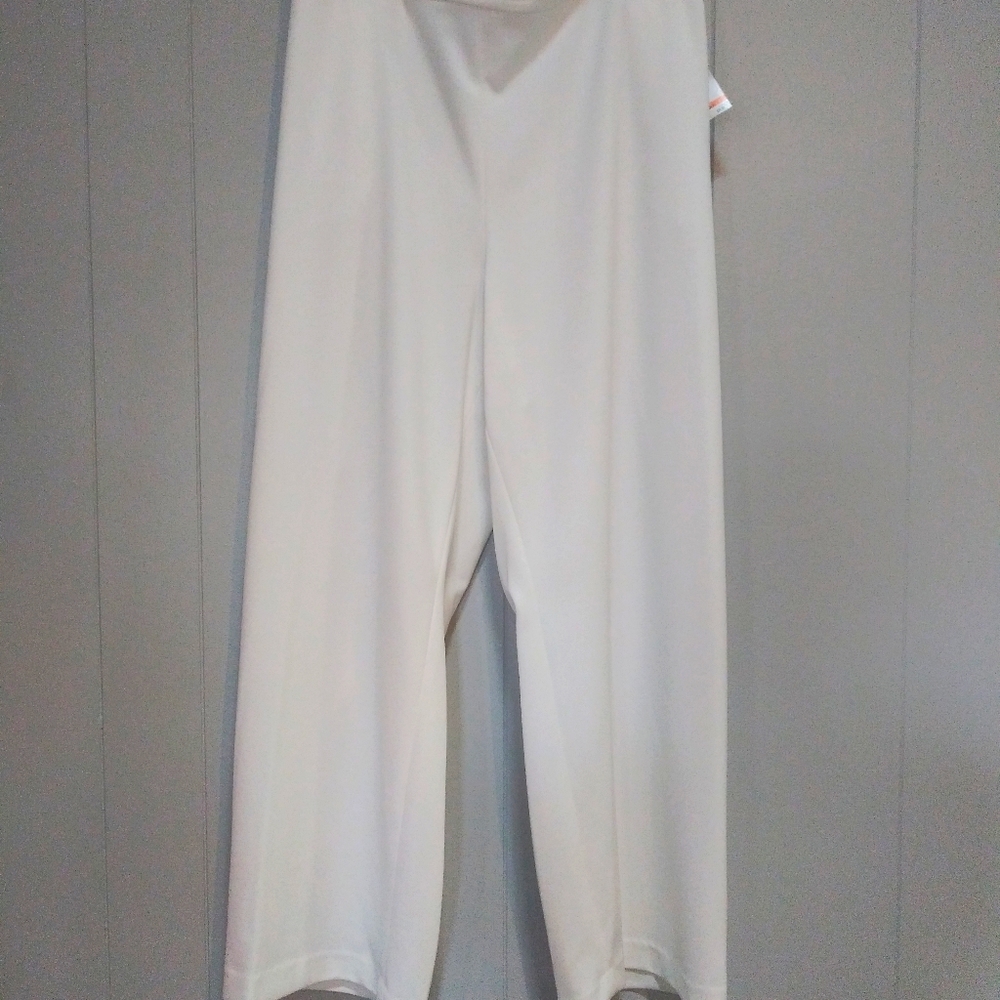 NWT! PLUS SIZE KASPER Dress Pants Size 24W